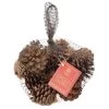 Baltus Sack Of Natural Pine Cones Spiced Cinnamon Fragrance -Christmas Decoration Shop BAL30063 1600 1 opt 34469.1592819198.1100.1100